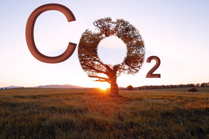 CO2ladder