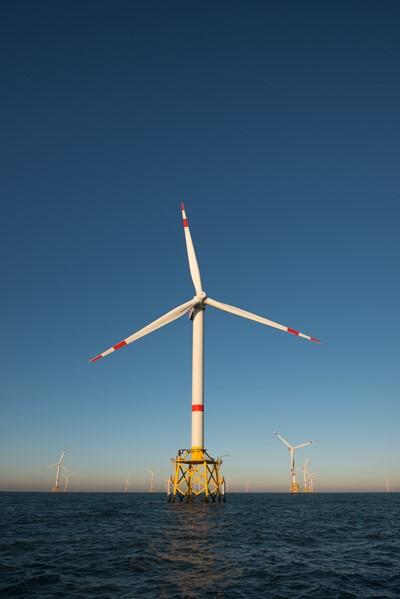veiliheidscultuur