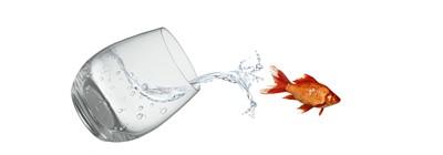 Change Management